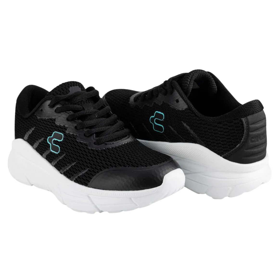 Tenis Charly Para Mujer Charly Burdex Lifestyle Sport 06950/51