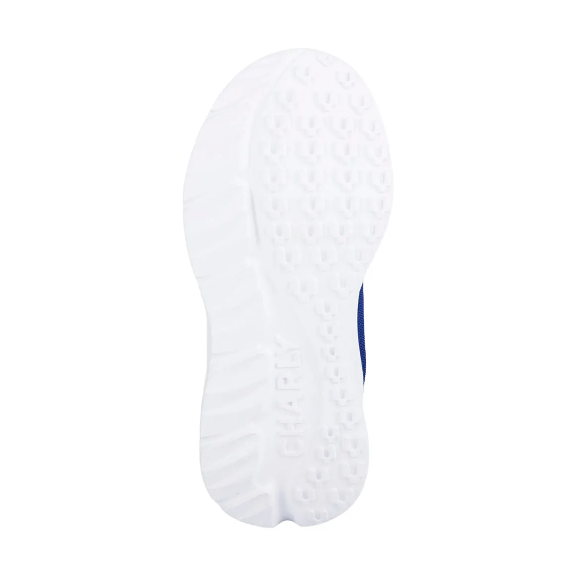 Tenis Charly Para Niño Scoter Deportivo 05188